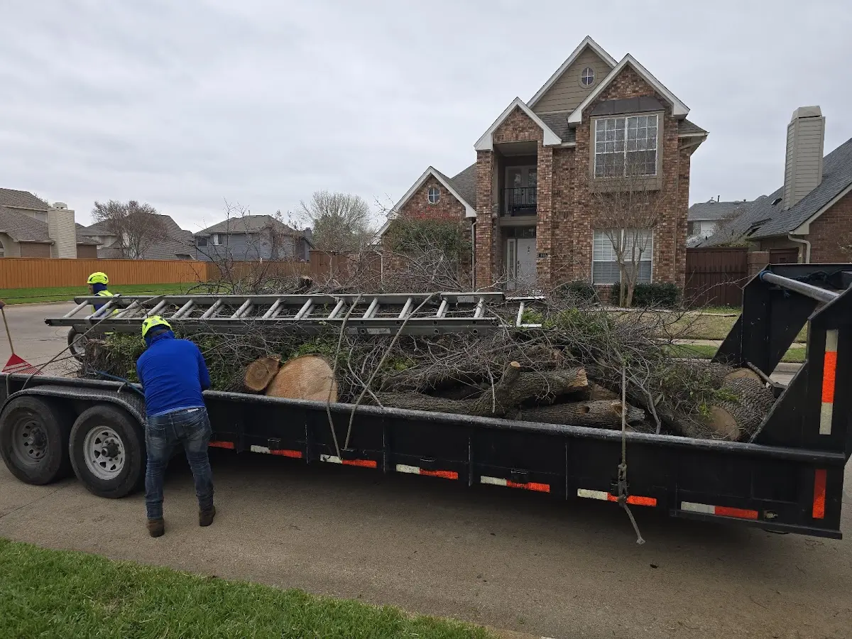 Expert Tree Pest Control with proper safety equipment in Cortland